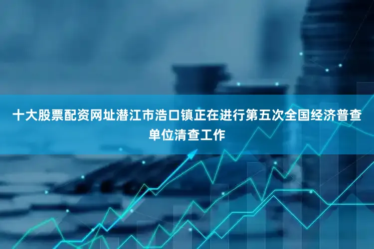 十大股票配资网址潜江市浩口镇正在进行第五次全国经济普查单位清查工作