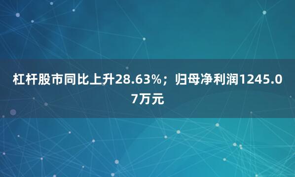 杠杆股市同比上升28.63%；归母净利润1245.07万元